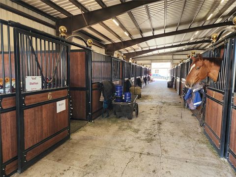 Tiny photo for 6025 NW 115th Avenue, Ocala, FL 34482 (MLS # OM719748)