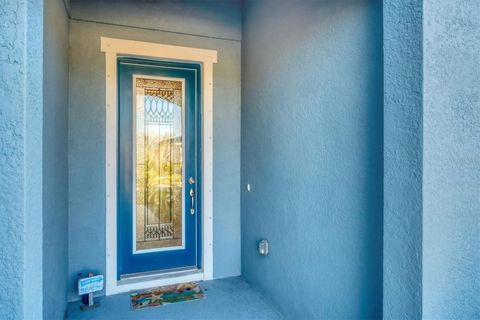 A home in APOLLO BEACH