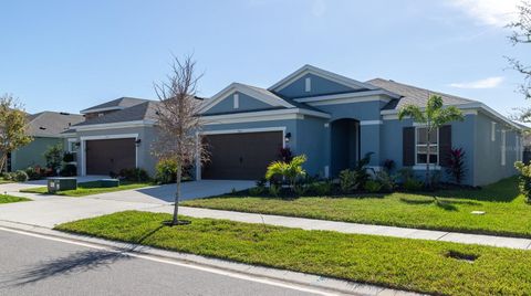 A home in APOLLO BEACH