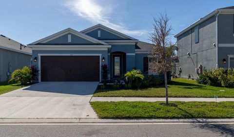 A home in APOLLO BEACH