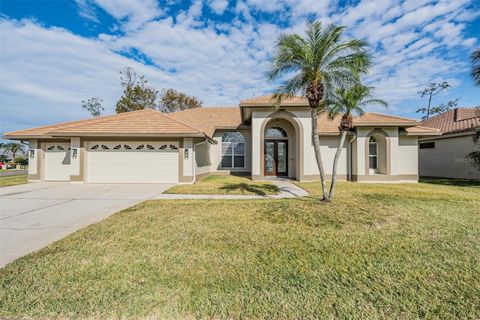 A home in OLDSMAR