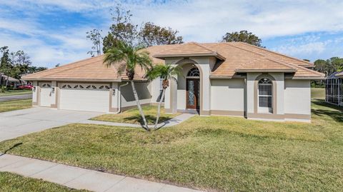 A home in OLDSMAR