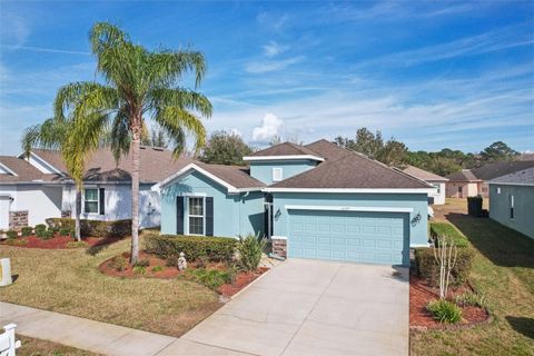 Photo of 11129 Kiskadee Circle, New Port Richey, FL 34654 (MLS # TB8478432)