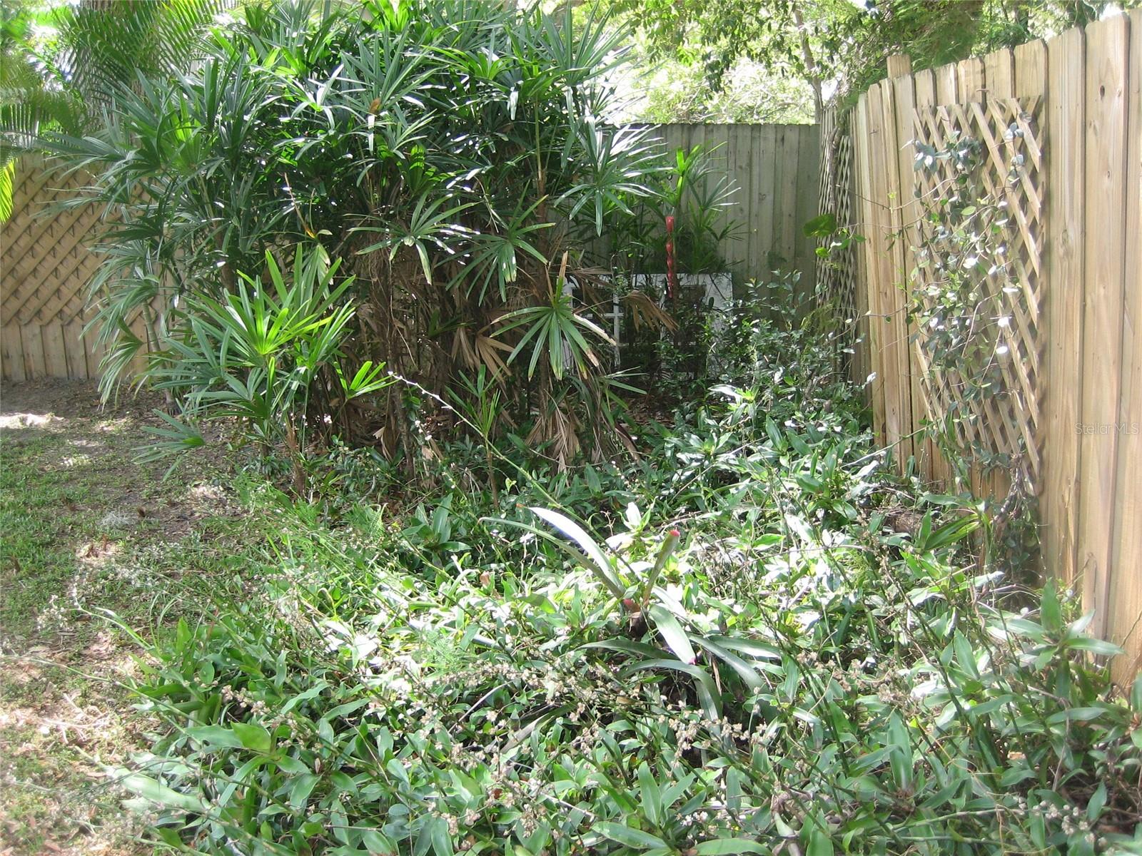 DUNEDIN ISLES 1 - Residential Lease