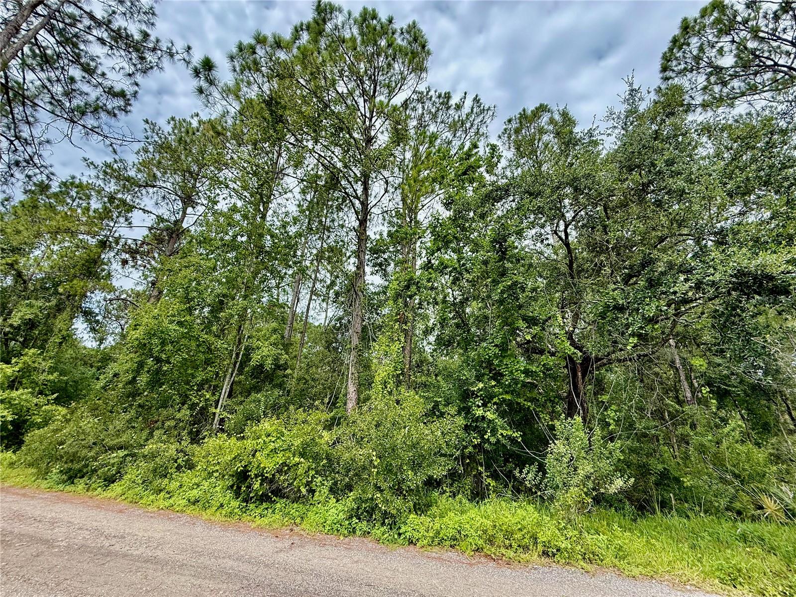 Build Your Dream Home in the Heart of Wesley Chapel! Discover this prime vacant lot in the sought-after Quail Hollow Pines community! Spanning just over 2.5 acre, this beautiful piece of land offers the perfect opportunity to design and build your dream home while enjoying privacy and space. Nestled in a peaceful, non-HOA neighborhood, this lot is surrounded by nature yet conveniently located near everything—shopping, dining, entertainment, medical facilities, and major highways for an easy commute. Zoned AR. Whether you're looking for a quiet retreat or a spacious property to create your own oasis, this lot is a rare find in Wesley Chapel! Don't miss out on this amazing opportunity!