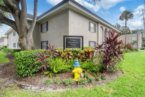 A home in TAMPA