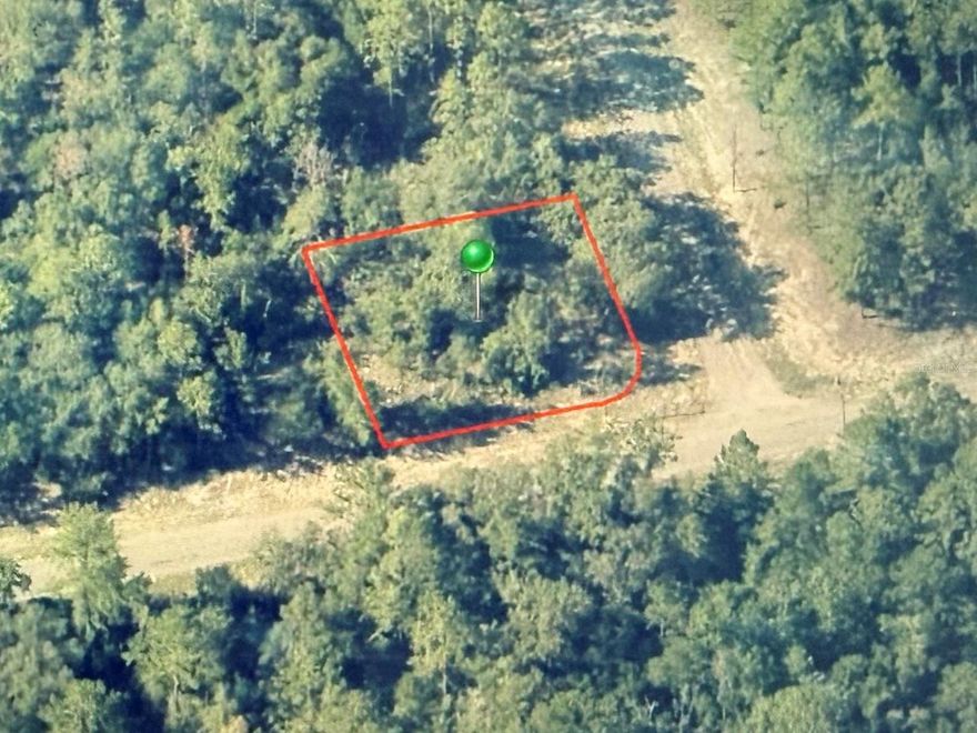 Corner lot opportunity! This spacious 0.29-acre homesite is located in the growing community of Citrus Springs, an area experiencing continuous development and new home construction nearby. Situated on a desirable corner location, this property offers added flexibility for home design, easy access, and enhanced curb appeal. Enjoy the peaceful surroundings while still being near to parks, golf courses, shopping, dining, and the beautiful Nature Coast. Whether you’re looking to build your dream home or invest in a rapidly developing area, this lot offers excellent potential. No HOA and plenty of room to create your ideal Florida lifestyle.