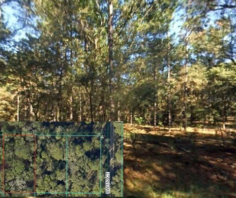 0 SW 12 PLACE SW LOT 3 OCALA FL 34481