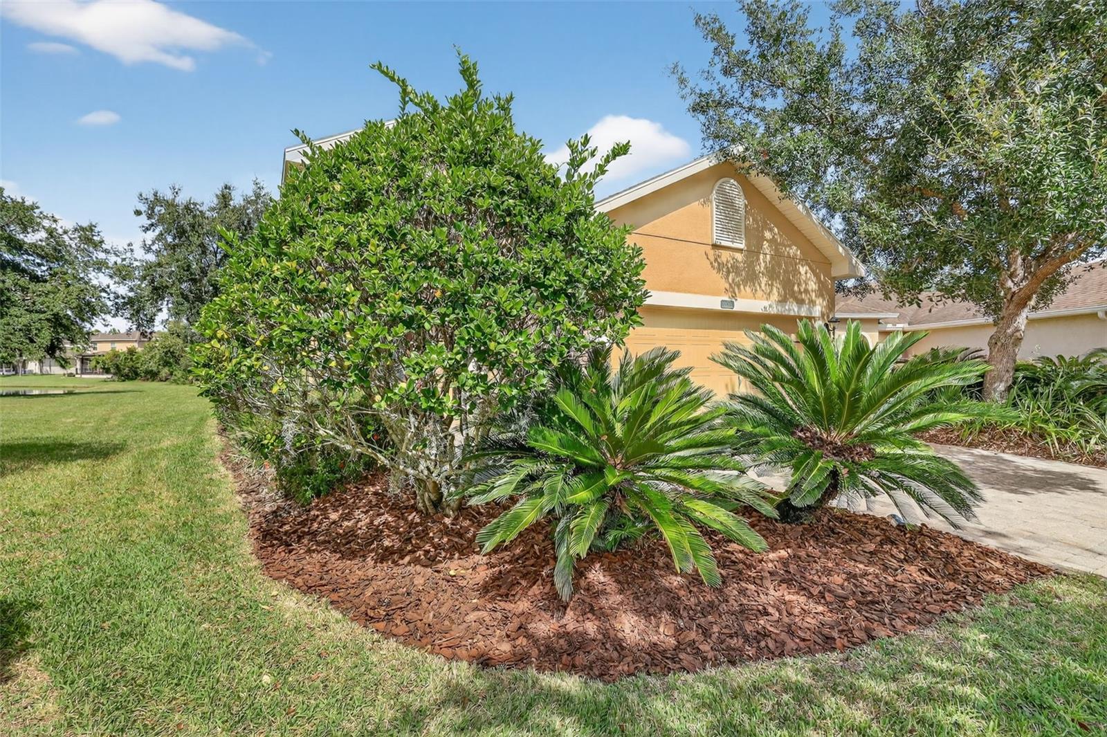 TAMPA PALMS - Residential