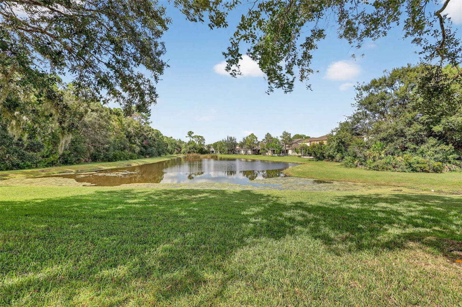 TAMPA PALMS - Residential