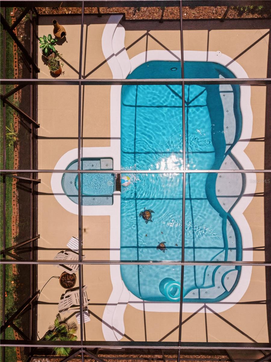 1131 SUGAR BELT DRIVE