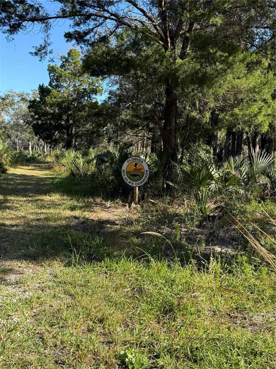 DIXIE SHORES UNIT 01 REP - Land