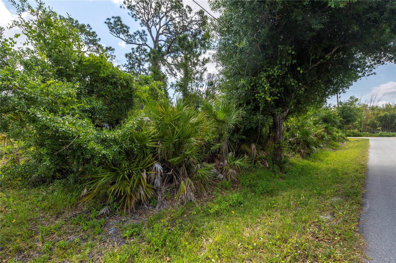 ***Special Offer: Buy all 3 lots and get 10% off—almost like buying 2 and getting 1 free!*** Build Your Dream Oasis in Warm Mineral Springs, FL!
Escape the cold and create your own slice of paradise in beautiful Warm Mineral Springs! This spacious lot is available for just $33,900, but why stop there?
Three additional adjoining lots are also available, giving you the opportunity to own nearly a full acre—perfect for building your dream home, a multi-generational retreat, or even an investment property.
Special Offer: Buy all 4 lots and get 20% off—almost like buying 3 and getting 1 free!
Enjoy the year-round warmth, nearby world-famous beaches, and the new Atlanta Braves spring training facility! Nearby restaurants and amenities make this a great location to enjoy the tranquil Florida lifestyle.
Whether you’re looking to build a private oasis or a family compound, this is an incredible opportunity you don’t want to miss!