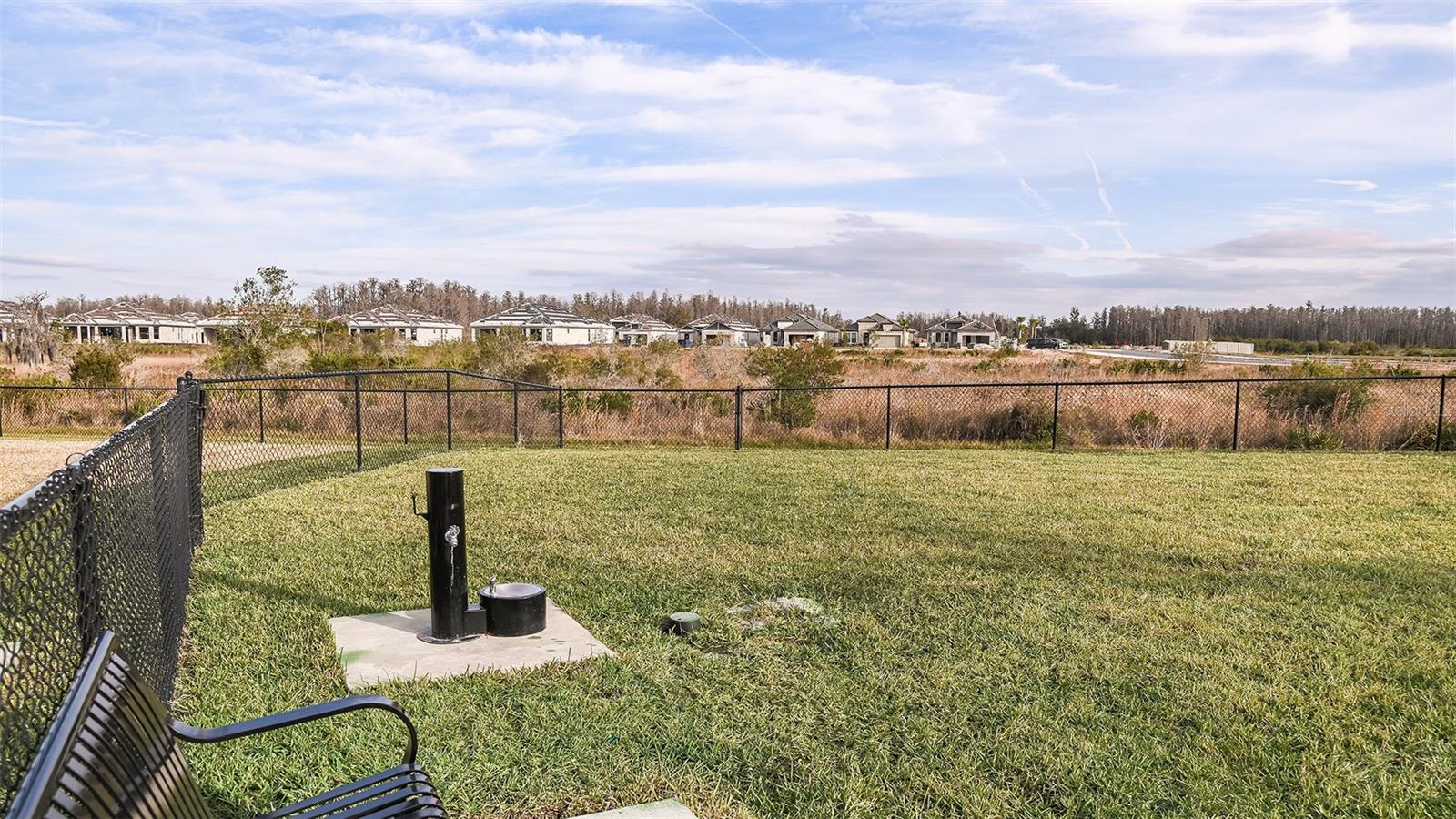 ESPLANADE AT WIREGRASS RANCH - Residential