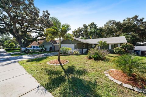 A home in CLEARWATER