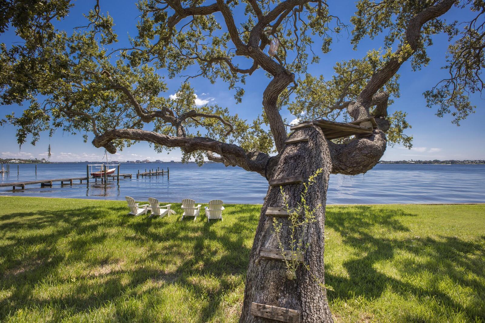 SHELL BEACH ADDITION - Residential