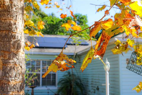 A home in EUSTIS