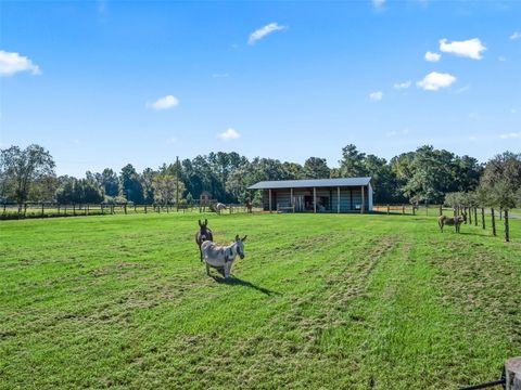 Tiny photo for 9209 W Highway 316, Reddick, FL 32686 (MLS # OM711504)