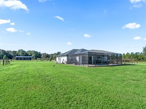 Tiny photo for 9209 W Highway 316, Reddick, FL 32686 (MLS # OM711504)