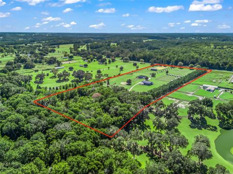 Tiny photo for 9209 W Highway 316, Reddick, FL 32686 (MLS # OM711504)