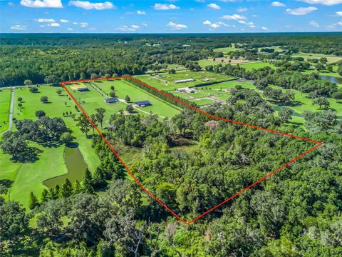 Tiny photo for 9209 W Highway 316, Reddick, FL 32686 (MLS # OM711504)