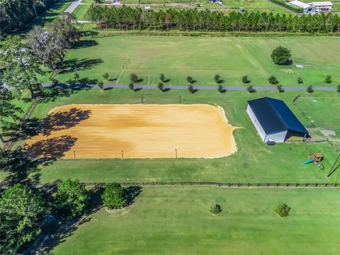 Tiny photo for 9209 W Highway 316, Reddick, FL 32686 (MLS # OM711504)