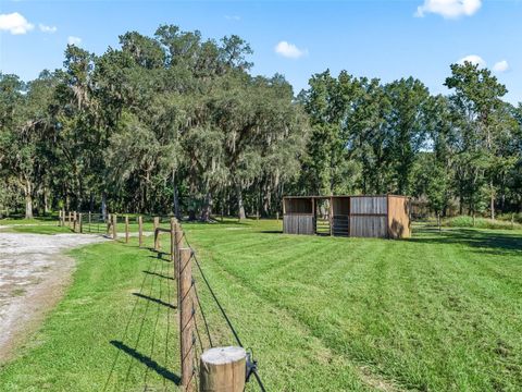 Tiny photo for 9209 W Highway 316, Reddick, FL 32686 (MLS # OM711504)