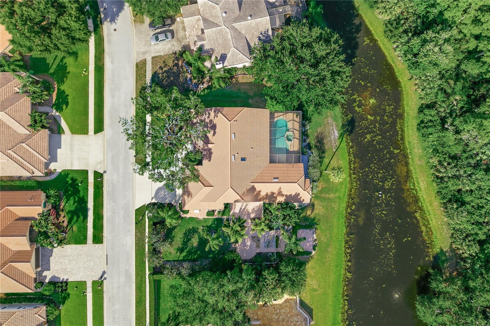 RESERVE AT LAKE TARPON THE - Residential