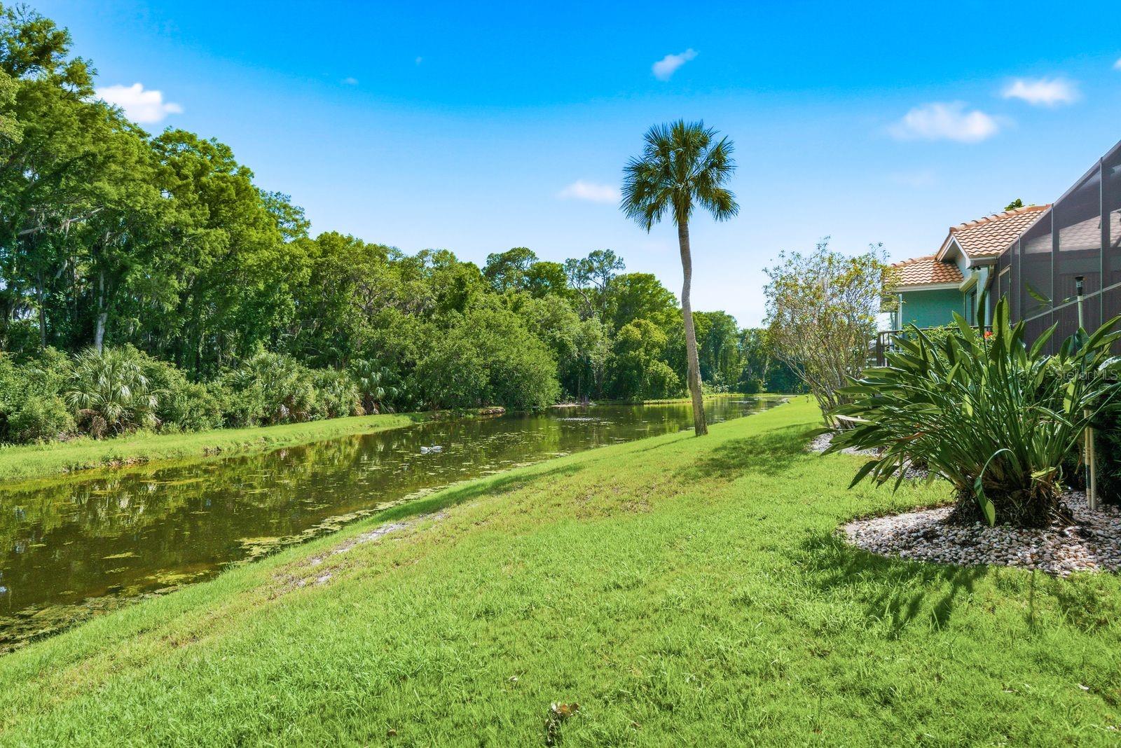 RESERVE AT LAKE TARPON THE - Residential
