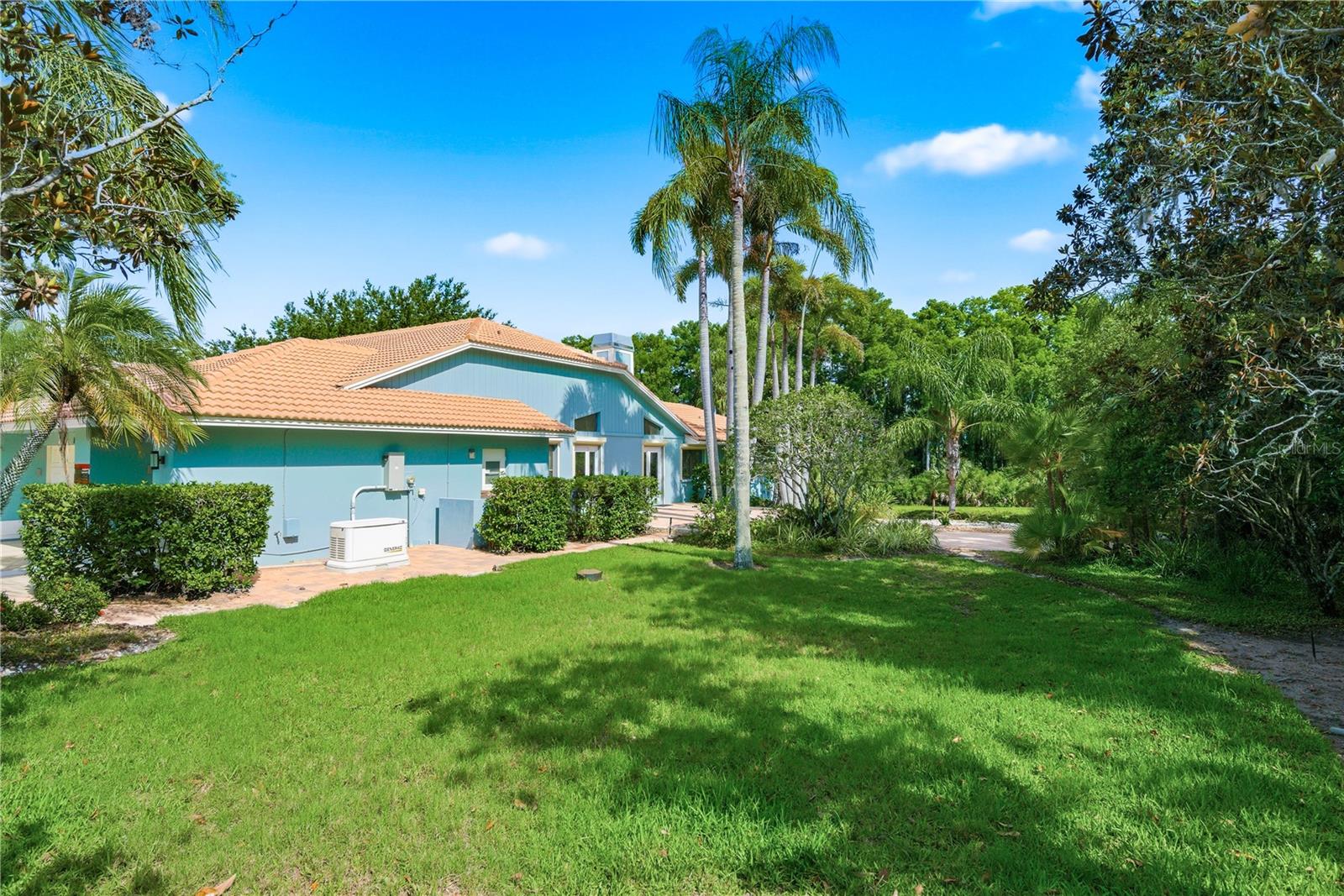RESERVE AT LAKE TARPON THE - Residential