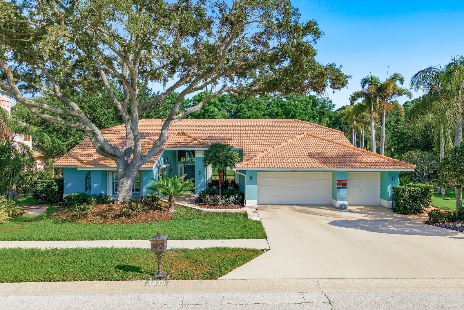 RESERVE AT LAKE TARPON THE - Residential