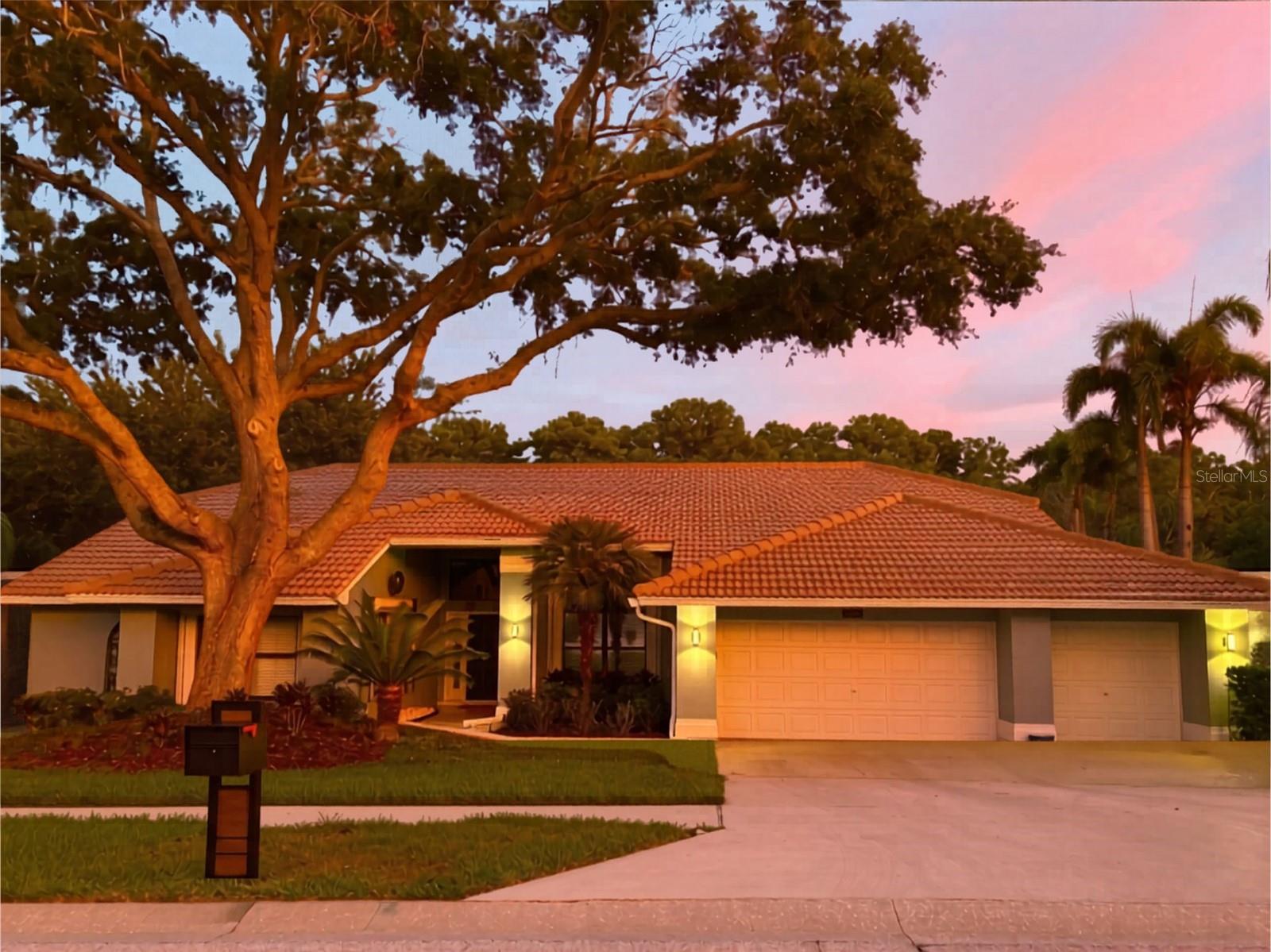RESERVE AT LAKE TARPON THE - Residential