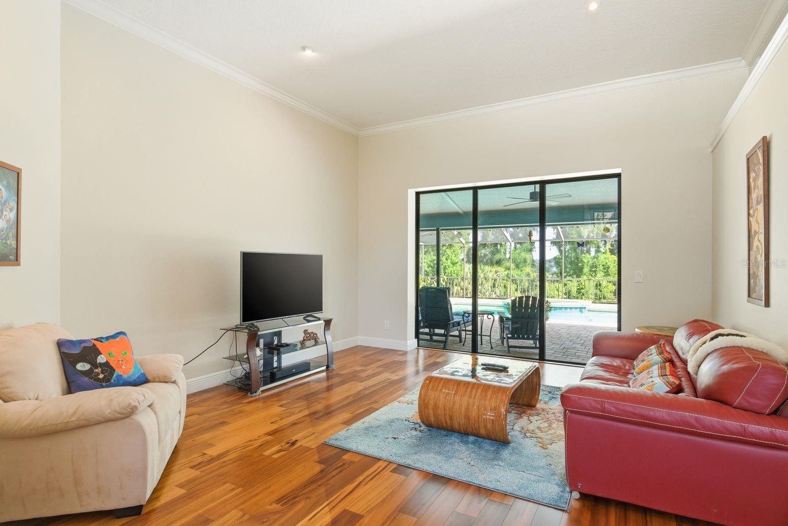 RESERVE AT LAKE TARPON THE - Residential