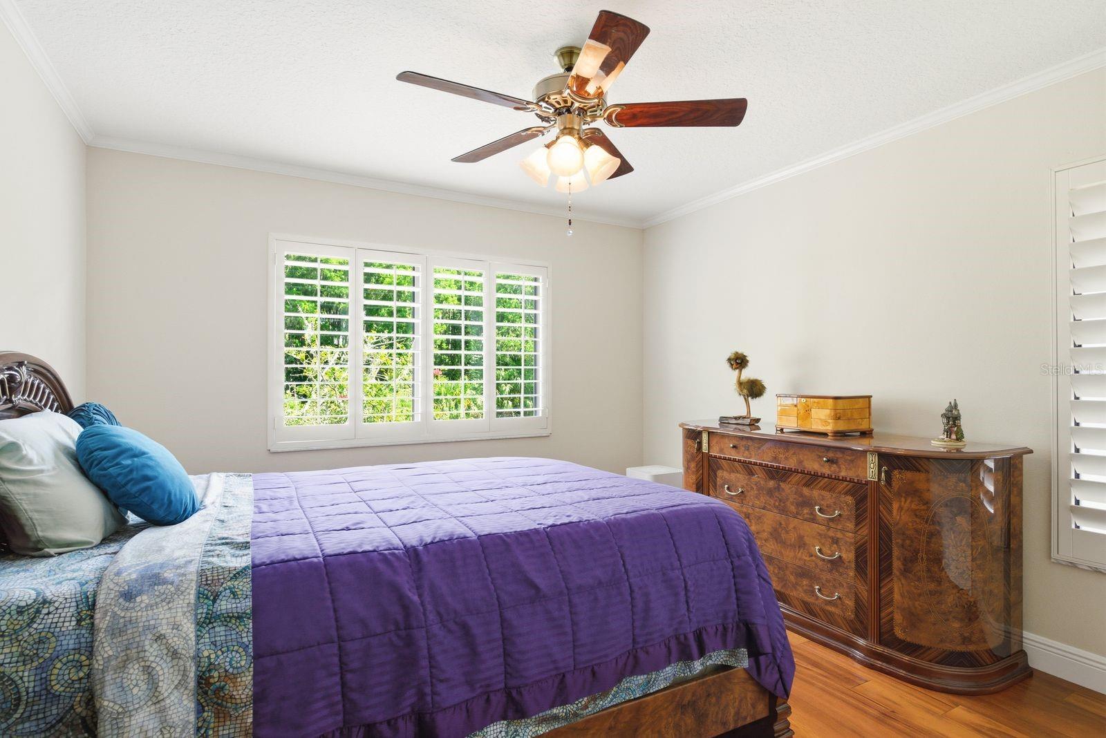 RESERVE AT LAKE TARPON THE - Residential