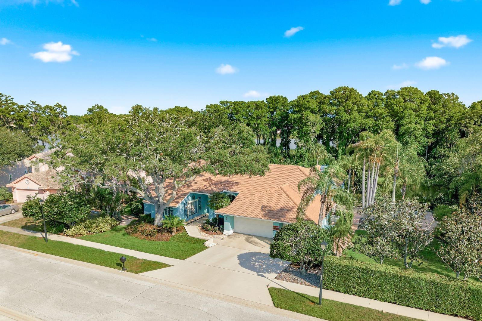 RESERVE AT LAKE TARPON THE - Residential