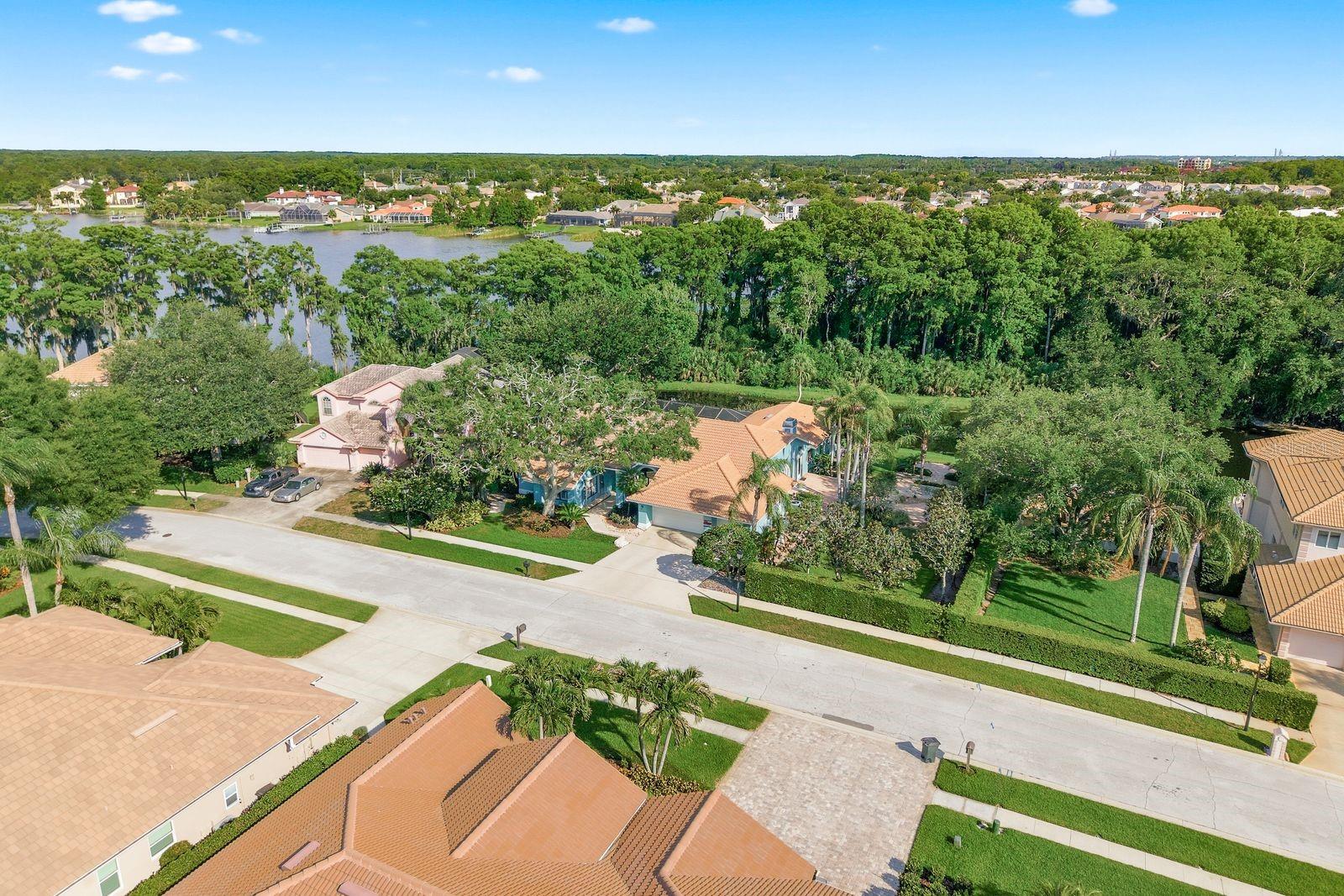 RESERVE AT LAKE TARPON THE - Residential