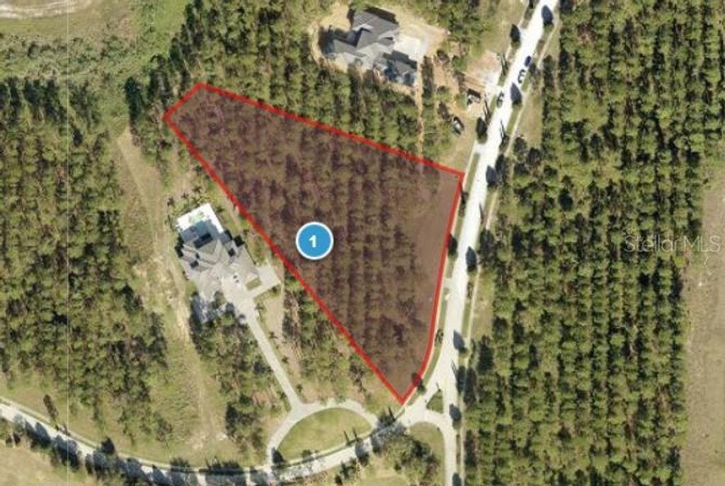 Photo of 16216 Pendio Drive, Bella Collina, FL 34756 (MLS # G5103234)