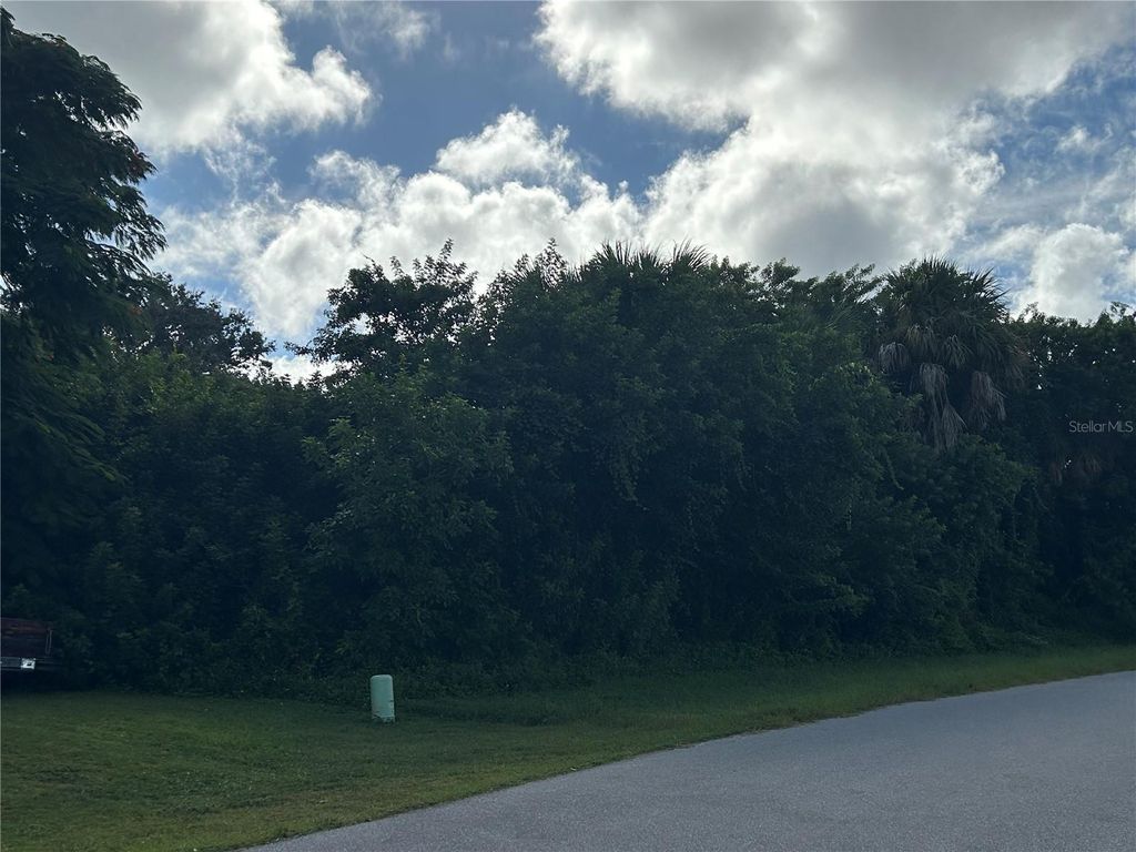 Photo of 1528 Upshaw Terrace, Port Charlotte, FL 33952 (MLS # A4667301)