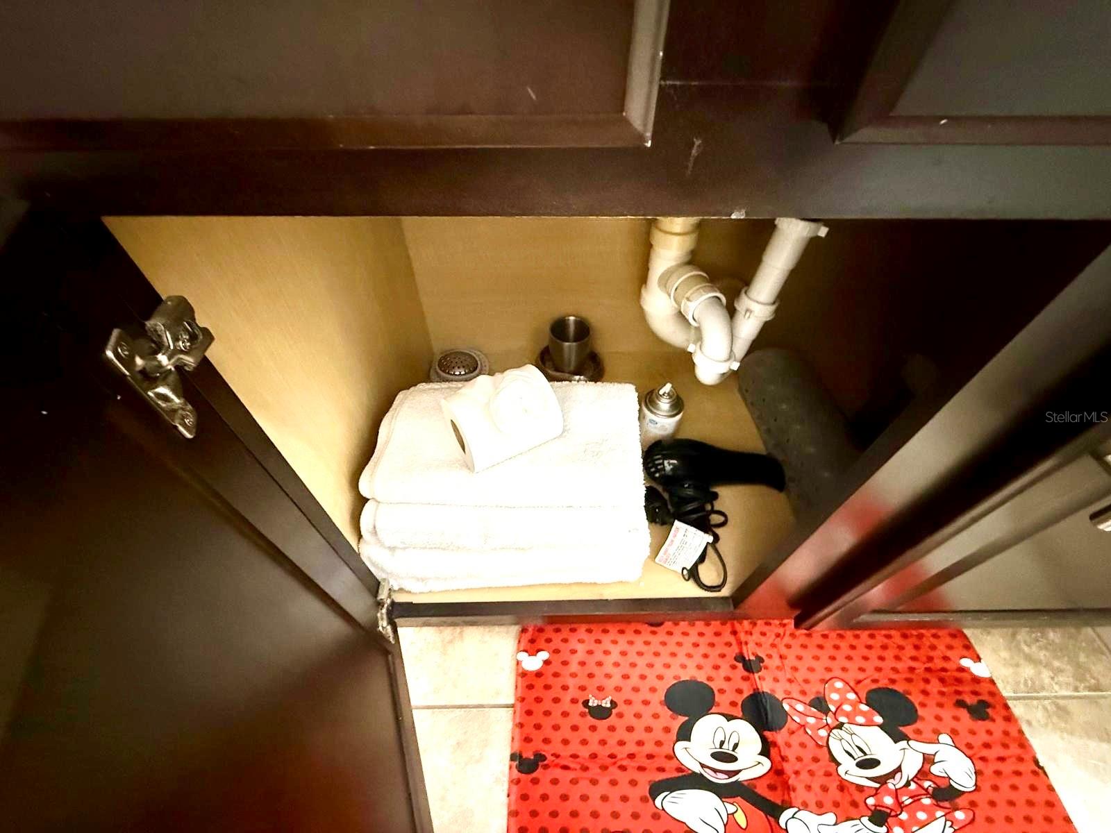 FOUNTAINS AT CHAMPIONSGATE PH 1 REP - Residential