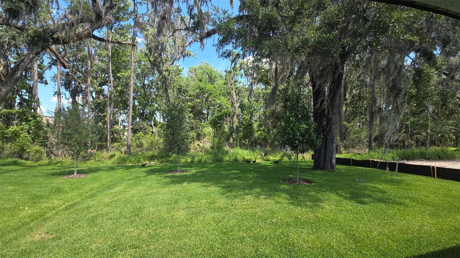19451 FOREST GARDEN COURT
