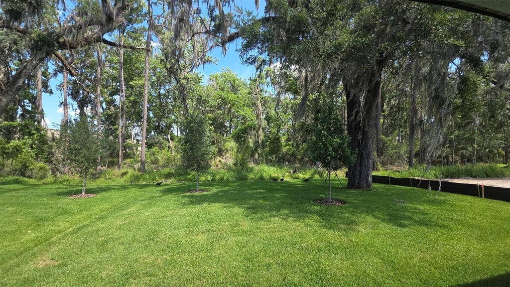 Photo of 19451 Forest Garden Court, Brooksville, FL 34601 (MLS # TB8510958)