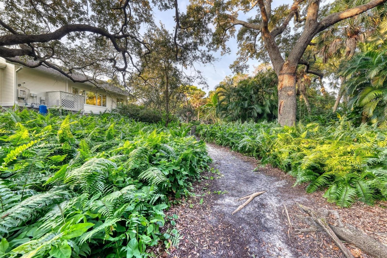 SIESTA HAMMOCK - Residential
