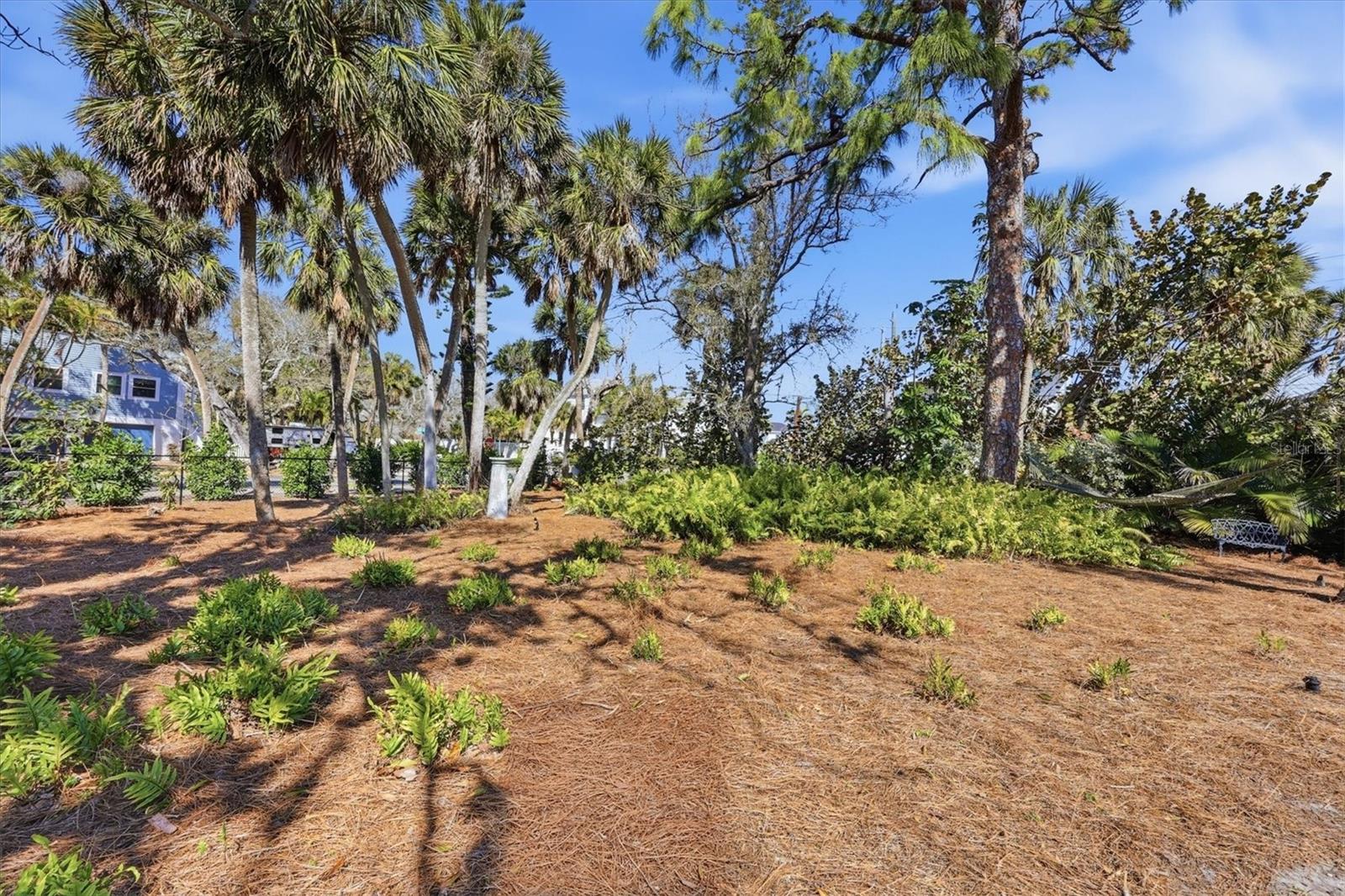 SIESTA HAMMOCK - Residential