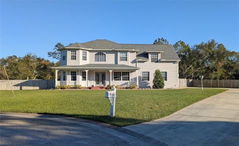 A home in RIVERVIEW