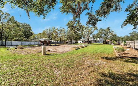 A home in RIVERVIEW