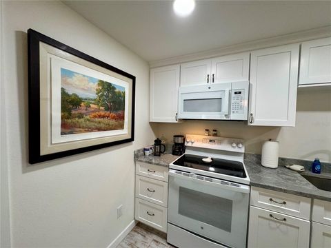 Tiny photo for 1357 Lakeshore Drive #3, Mount Dora, FL 32757 (MLS # O6420458)