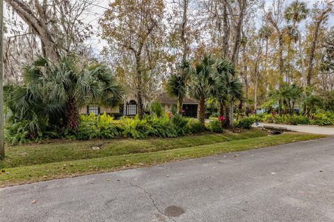 A home in NEW SMYRNA BEACH