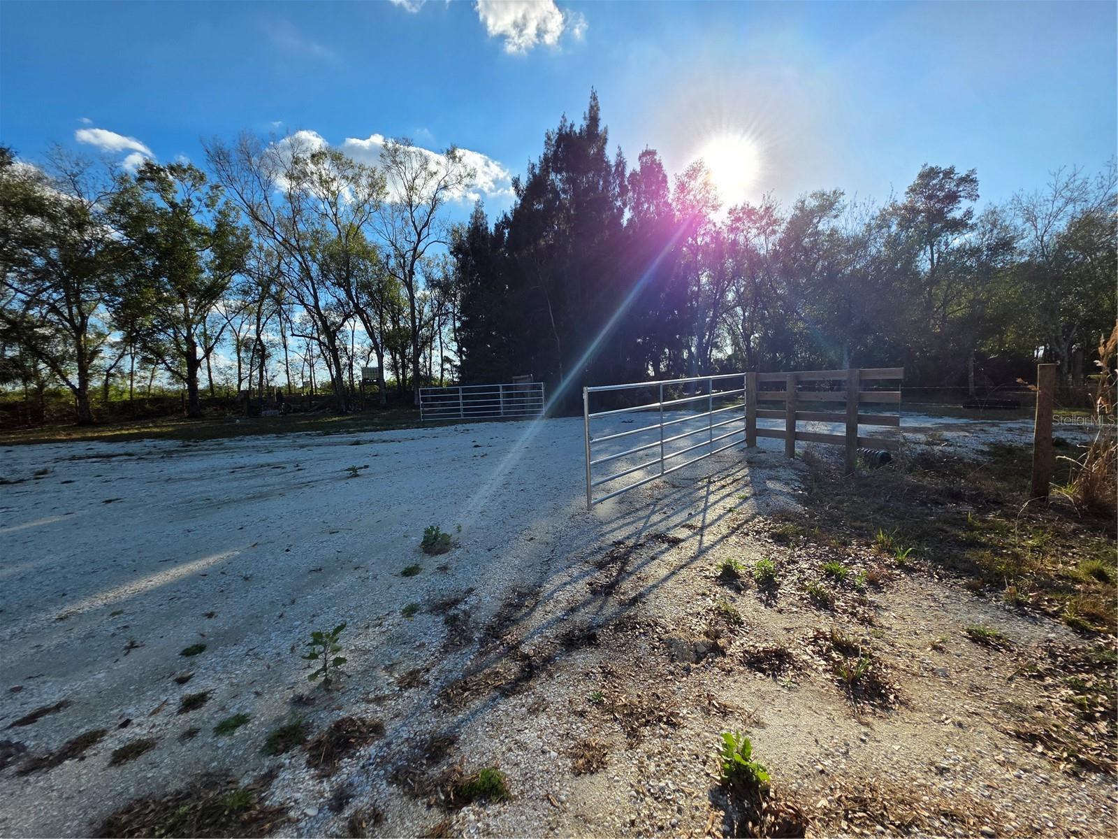 MEADOWS/ARCADIA - Land