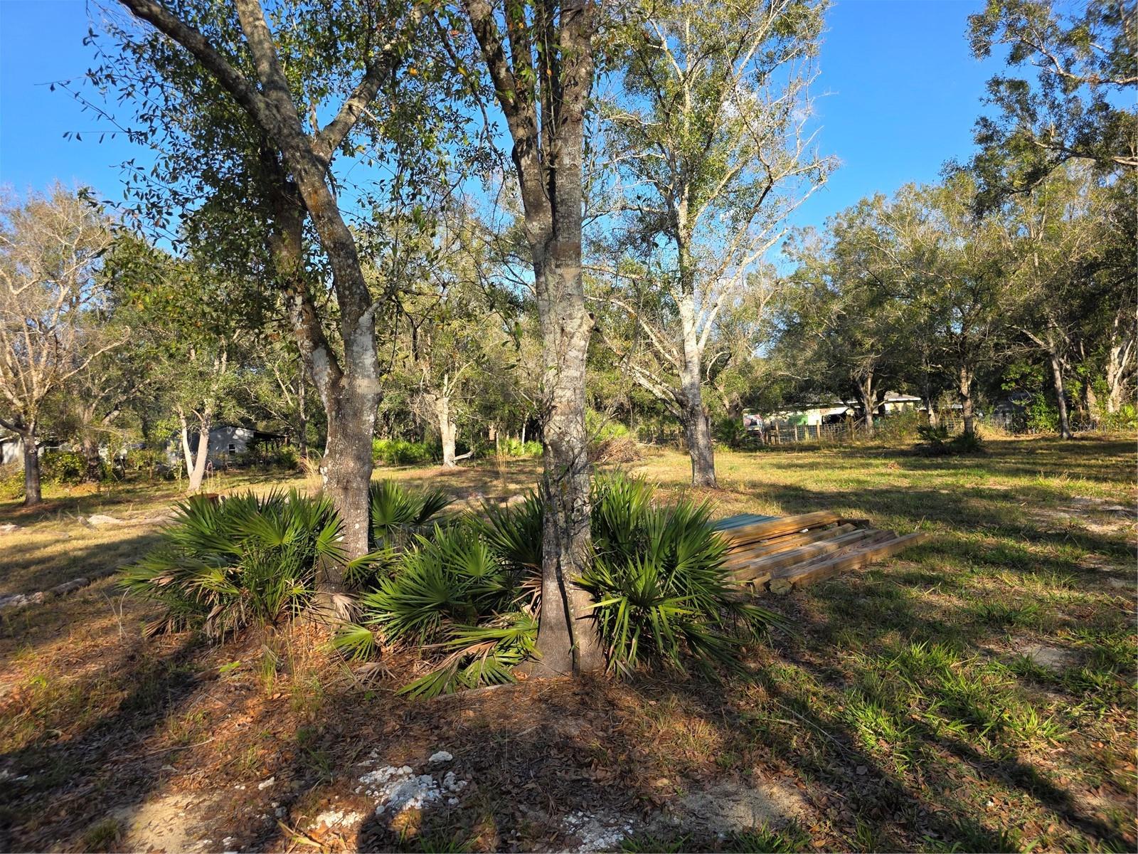 MEADOWS/ARCADIA - Land