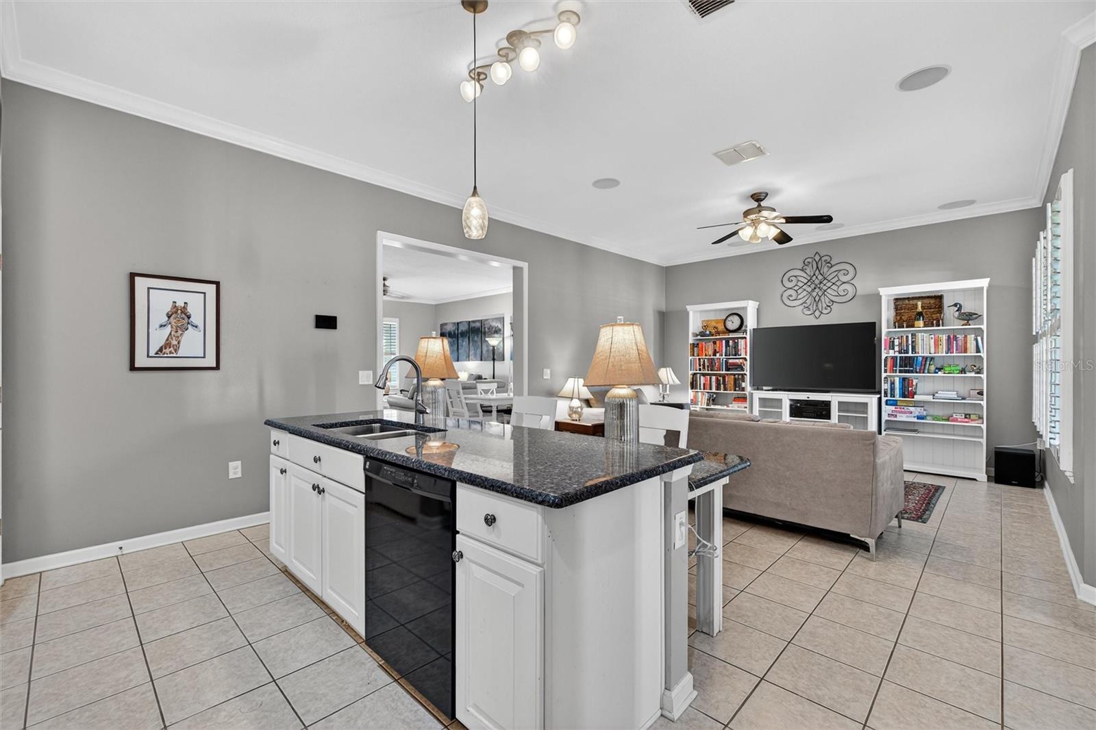 ARTISAN PARK TWNHMS PH 03 - Residential